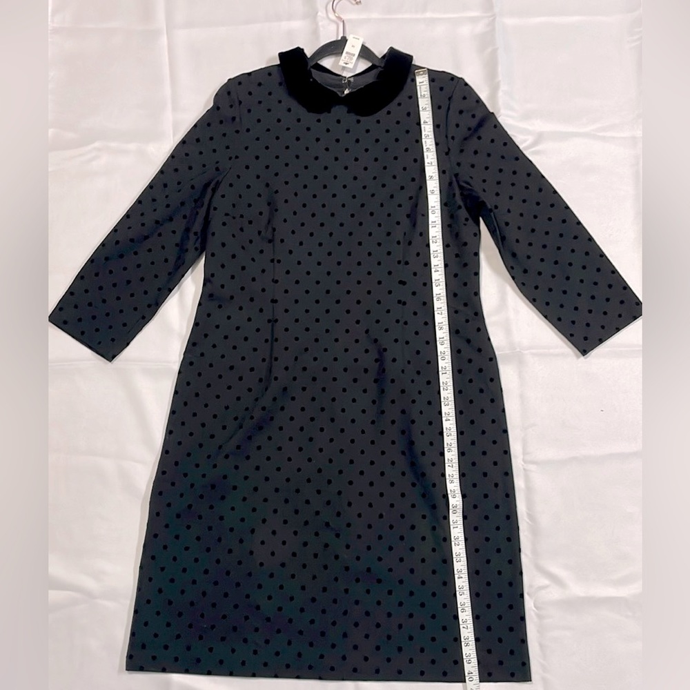 New with Tag - Talbots Collar Polka Dot Dress - Size 14